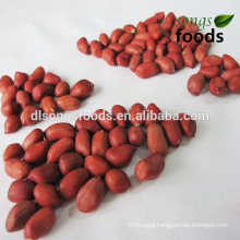 New Crop Raw Red Skin Peanut